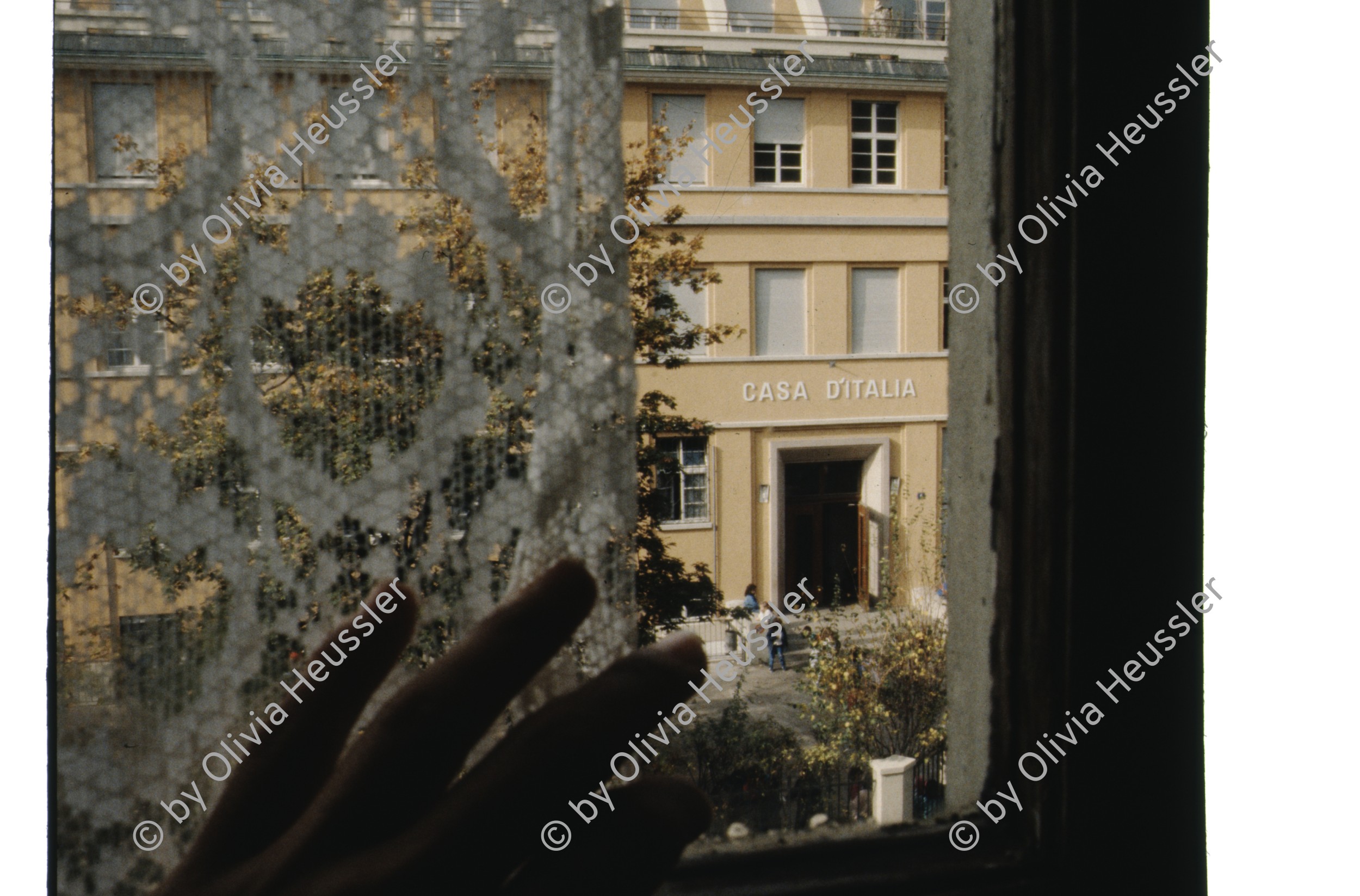 Image of sheet 19883000 photo 68: Erismannhof