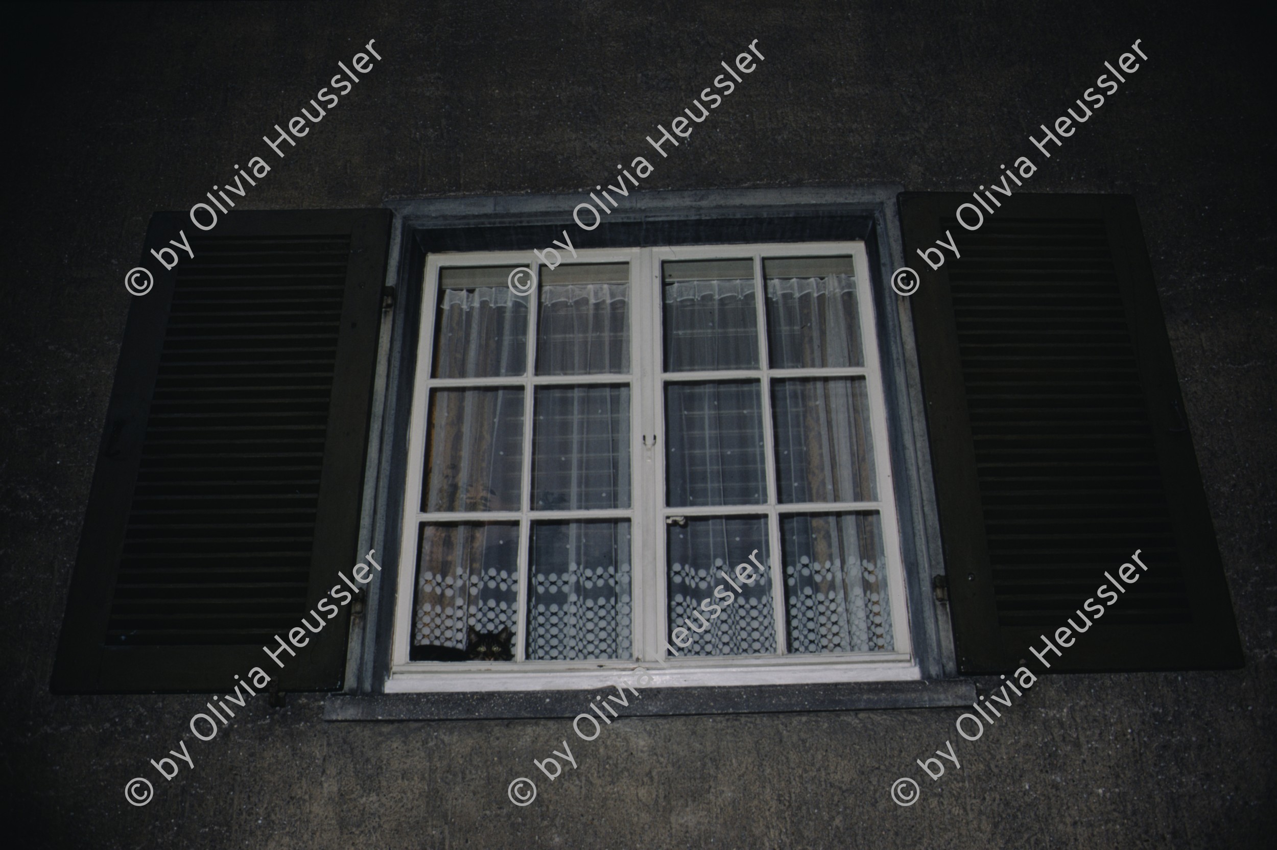 Image of sheet 19883000 photo 73: Erismannhof