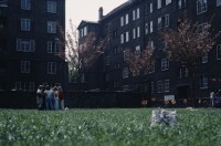Image of sheet 19883000 photo 92: Erismannhof