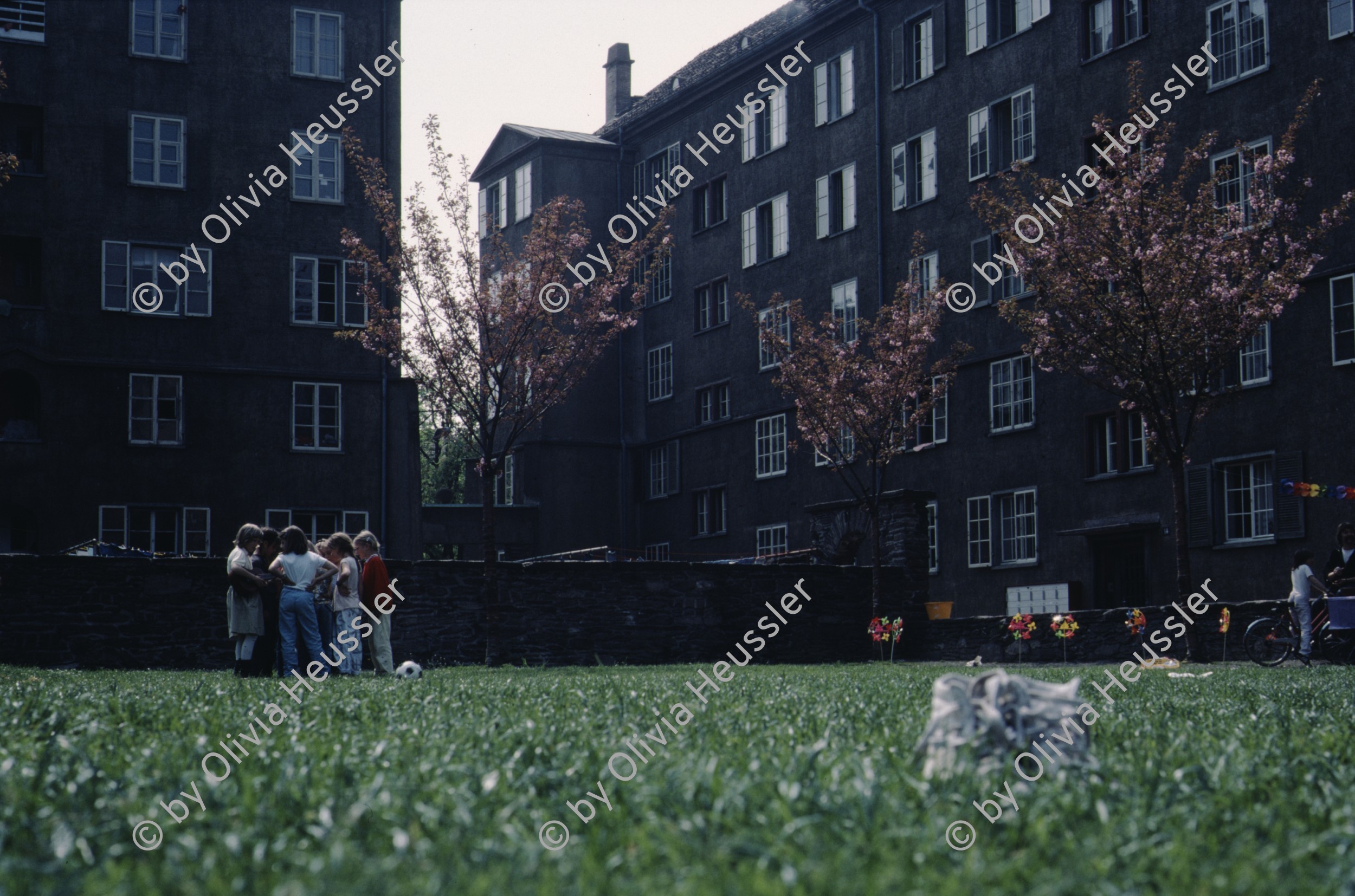 Image of sheet 19883000 photo 92: Erismannhof