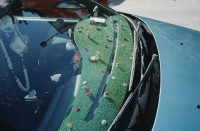 Image of sheet 19883003 photo 10: R