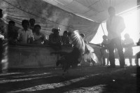 Image of sheet 19890010 photo 1: frtsg. 881150 Hahnenkampf. Kinder spielen am Tischfussball Fussballkasten Töggelikasten in der Nacht. Chamula Familie  Indios Indigena Indigenos vor ihrer Adobe Haus  Lehmhütte in der Nähe von San Cristobal. Antonio Turok vor seinem Haus in San Cristobal. Politische Wandmalereien. Spielzeuglastwagen übermässig gross vor einem Haus mit Junge dahinter. 
'Maternidad libre y voluntaria'  Freiwillige und freie Schwangerschaft. Protestnote für Mütter Frauenkampf  Portrait kleiner Chamula vor Adobe Haus. Kirche in San Cristobal.
Mexico 1989