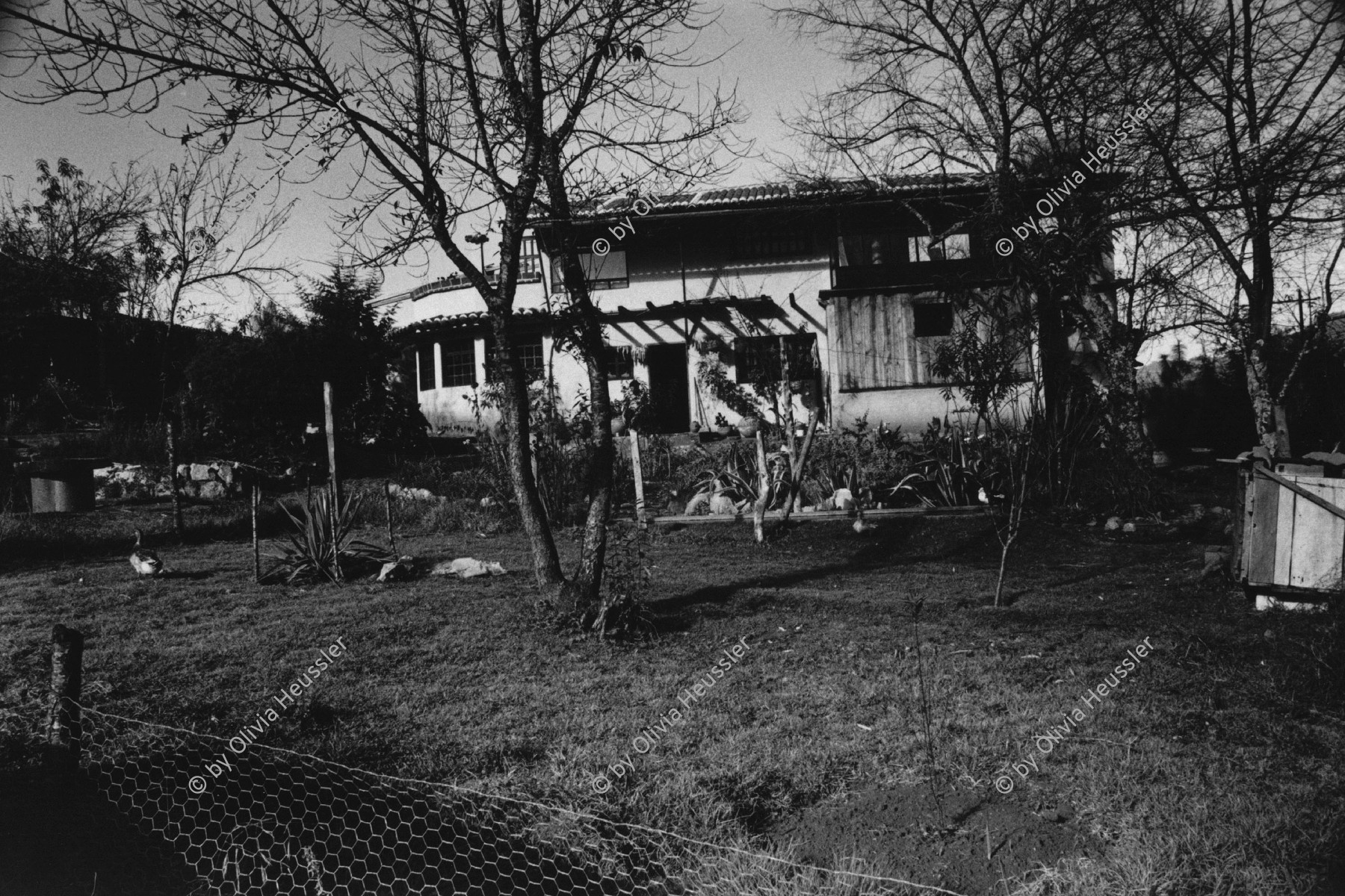 Image of sheet 19890010 photo 16: Das Haus des mexikanischen Fotografen Antonio Turok in San Cristobal de las Casas, Mexico 1989.