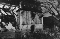 Image of sheet 19890010 photo 17: l