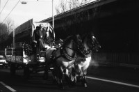 Image of sheet 19890100 photo 17: 2