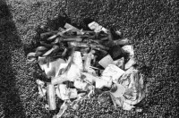 Image of sheet 19890110 photo 2: A