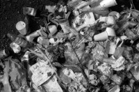 Image of sheet 19890110 photo 4: Ab