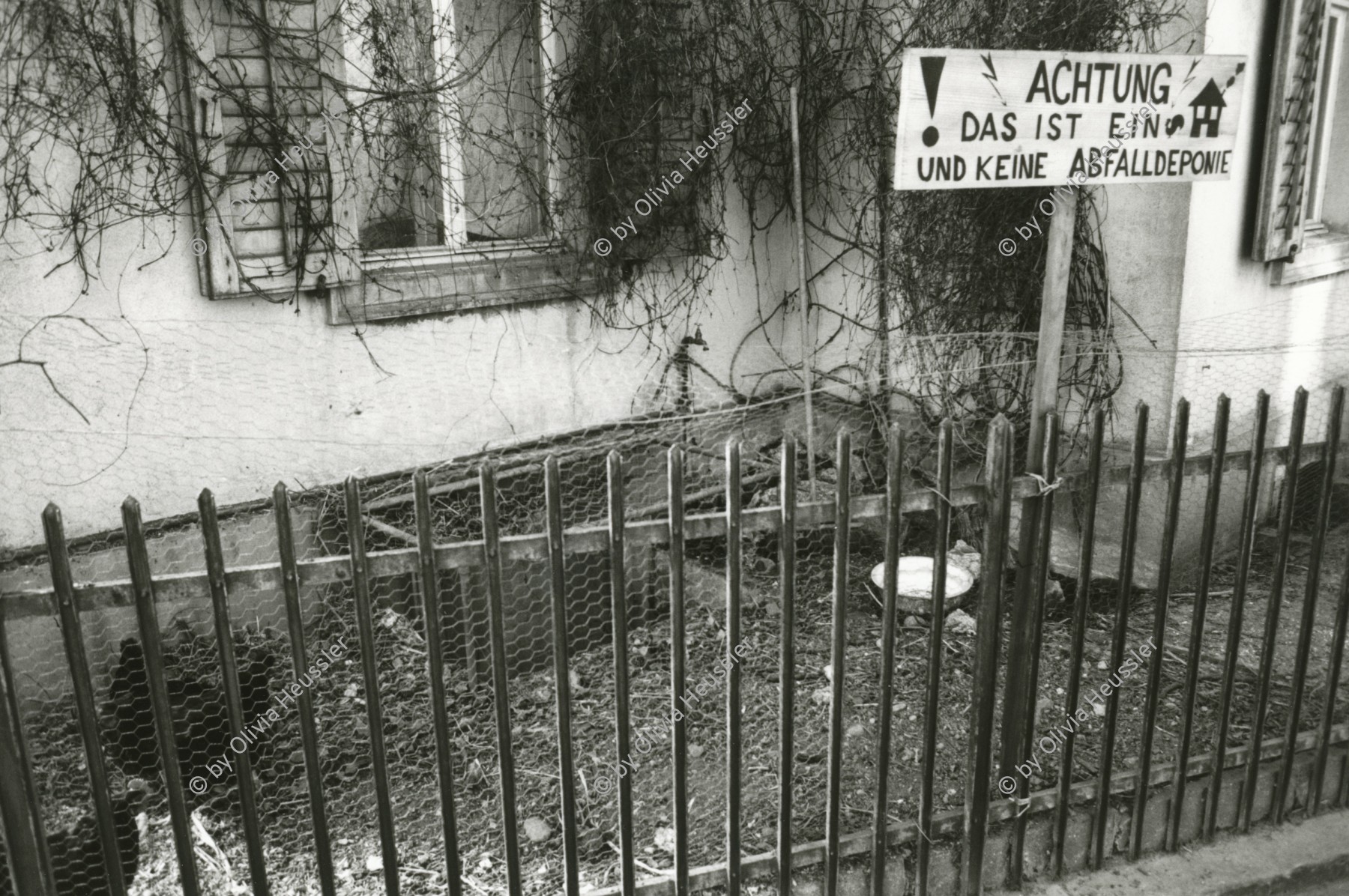 Image of sheet 19890170 photo 27: Der Garten an der Zweierstrasse  im Häuserkomplex Dreieck beherbergt eigener Hühnerhof, Zürich 1989. Hausbesetzung Dreieck √
Auf der Tafel steht: 'ACHTUNG DAS IST EIN HüHNERHOF UND KEINE ABFALLDEPONIE'