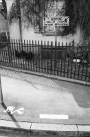 Image of sheet 19890170 photo 29: Der Garten beherbergt eigene Hühner. Hühnerhof Alter Mann Besucher Zürich 1989 Hausbesetzung Dreieck