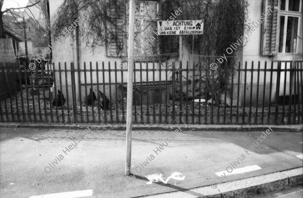 Image of sheet 19890170 photo 31: Der Garten beherbergt eigene Hühner. Hühnerhof Alter Mann Besucher Zürich 1989 Hausbesetzung Dreieck