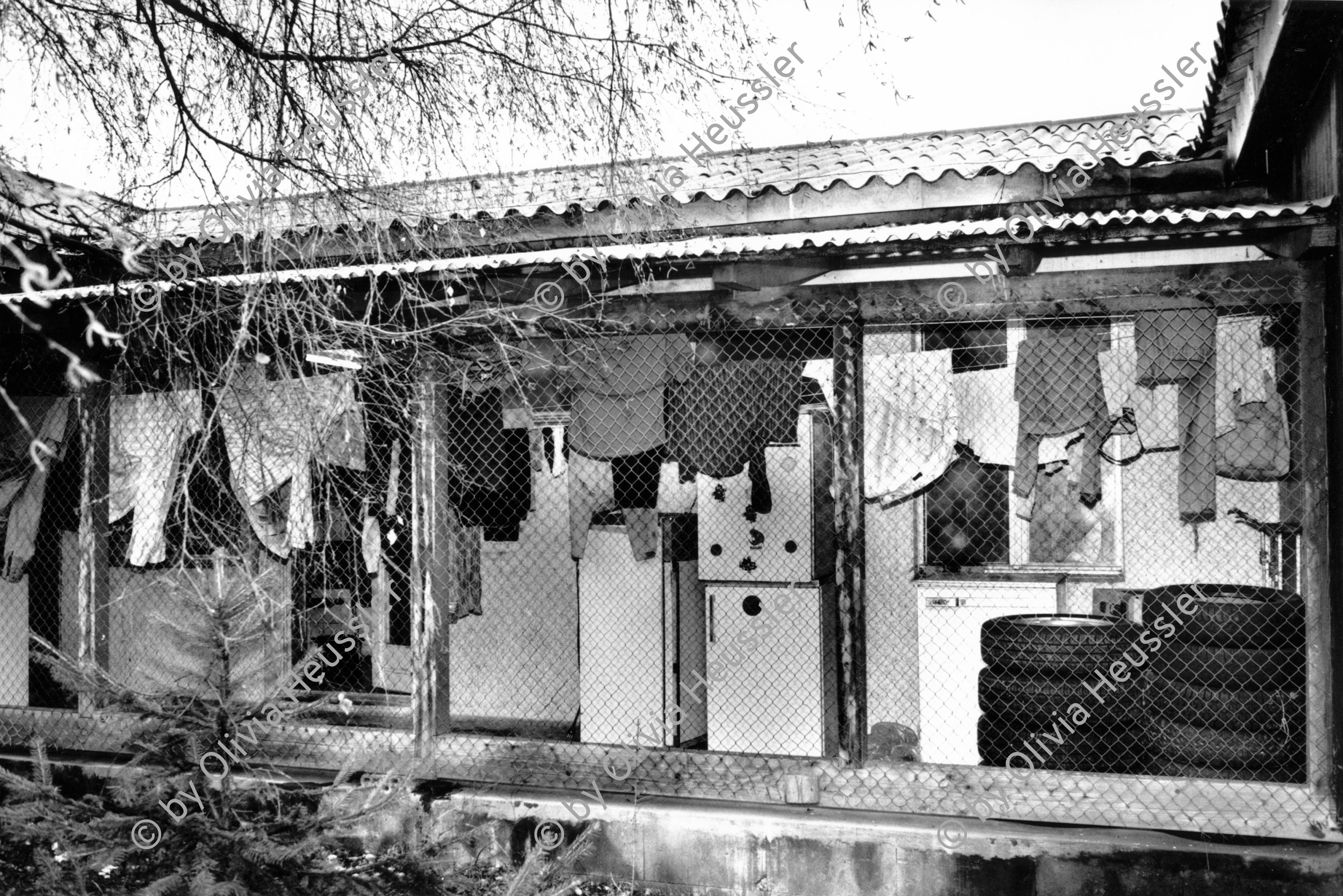 Image of sheet 19890240 photo 35: Baracken-siedlung für ausländische Arbeitnehmer in Leutschenbach, Zürich Oerlikon, 1989.
saisoniers Unterkunft Ausländer Bauarbeiter Barraken  Schweiz wohnen housing Wäscheleine clothes kühlschränke fridge
auto pneu tires
Zaun fence foreign workers accommodation