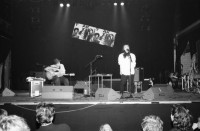 Image of sheet 19890440 photo 35: Konzert mit Fred Frith am Taktlos Festival in der Roten Fabrik, Zürich Mai 1989.