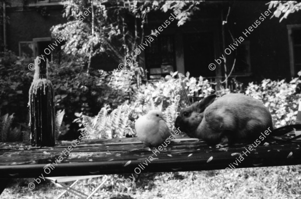 Image of sheet 19890470 photo 36: Ziviler Polizist mit Funk am Helvetiaplatz. drittes 3. Refugium der kurdischen Asylbewerber Innen. am Werplatz in der GBH Strassburgstr. Ligihaus. Städtische Liegenschaftsverwaltung Stadt Zürich Tauben an einem Brunnenrand. Portrait Felix von Muralt am Bahnhof vor Uhr ohne Zeiger. Plattenspieler. Transparent hängt an besetzten Haus an Ankerstr. 124. Enteignet. 'Nur noch ständig für die Miete schaffen? Greifen wir lieber Alle zu den Werkzeugen!! kommt Wohnen vor Eigendumm. Fahrradpneu mit Schutzblech am falschen Ort. Zweierstrasse wird
bemalt. Taube und kanninchen von einem Zauberer in bepflanzten Hof von abgebrochener Zweierstasse 55  Dreieck Wohnungsnot housing protest occupy Zürich 1989 Switzerland Schweiz Suisse