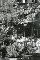 Image of sheet 19890480 photo 3: Wohnungsnot wohnen protest housing occupy house housing protest Schweiz Switzerland Europe plants animal Patio