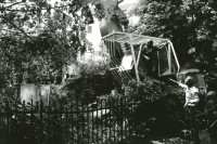 Image of sheet 19890490 photo 15: Bauarbeiter beginnen ihre Arbeit unter Polizeischutz. Im Innenhof werden die Bäume mit Hilfe eines Baggers umgelegt.
Switzerland Europa