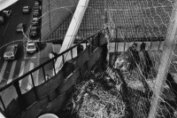 Image of sheet 19890500 photo 23: Besetzung Wohnungsnot Wohnen
Chicken Hühnerstall an der Kanonengasse Kreis vier 4