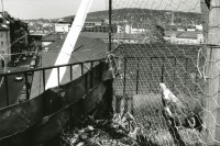 Image of sheet 19890500 photo 24: Ankerstrasse. Besetzt.