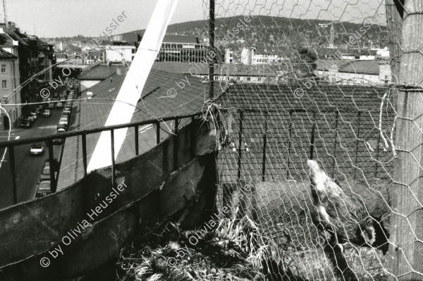 Image of sheet 19890500 photo 24: Ankerstrasse. Besetzt.