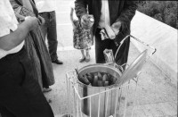 Image of sheet 19890530 photo 30: Ha