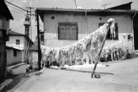 Image of sheet 19890540 photo 16: Ankara Türkisches Haus. Innenhof. Wolle wird zum trocknen aufgehängt. Uebersicht. Innenstadt. Altstadt. Türkei Ankara 1989 Turkey  dry lambs wool in the sun Oldtown √