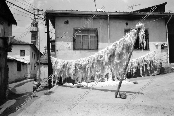 Image of sheet 19890540 photo 16: Ankara Türkisches Haus. Innenhof. Wolle wird zum trocknen aufgehängt. Uebersicht. Innenstadt. Altstadt. Türkei Ankara 1989 Turkey  dry lambs wool in the sun Oldtown √