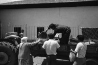 Image of sheet 19890540 photo 19: Moschee Kocatepe Schuhe stehen draussen (Tagi). Melonen stehen wie Kanonenkugeln vor der Moschee. Mann vor Kinoreklame mit Totenkopf. Umzug. Möbel steht auf der Strasse mit eingebautem Spiegel. Treppe zur Altstadt. Mann sitzt Frau arbeitet. Kale Ankara Türkisches Haus. Innenhof. Wolle wird zum trocknen aufgehängt. Uebersicht. Kinder. Frauen arbeiten mit Wolle. Frauen und Kinder kommen entgegen. Mercedes Benz. Innenstadt. Soldat sitzt in Kaffee. Männer essen am Markt. Marktszene. Innestadt Altstadt. Mann. Türkei Ankara 1989