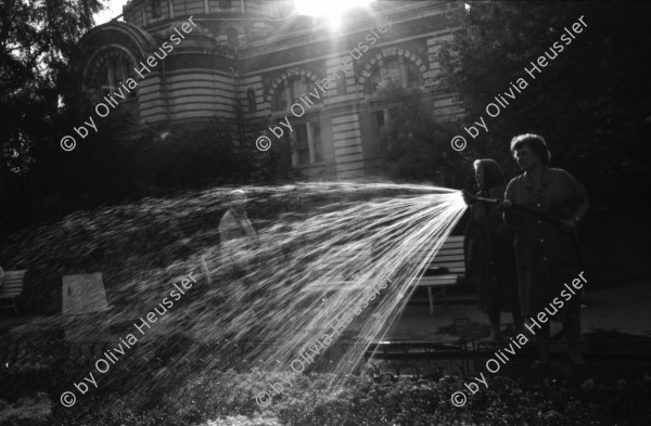 Image of sheet 19890650 photo 12: Eine Bauern-Familie posiert für mich auf dem Gehsteig, nachdem
 sie mich mit Gemüse beschenkt haben. Auf dem Rückweg nach Sofia.
 Ein Orthodoxer auf dem Kirchenplatz in Sofia. Die Moschee in
 Sofia. Ein Mann spritzt die Pflanzen. Zwei alte Männer betrachten
 die Preise für den Kohl. Maler bei der Arbeit. Mercedes Benz.
 Vater und Sohn auf einer Parkbank. Maja Wicki und Djanko und
 Olivia und Maja auf dem Vitussi. Mädchen benützt Grossmutter als
 Gummitwist Halterin. Im Hotel (Nr. 22)steht Maja nach einem
 schlechten Traum wie ein Gespenst da. Bus Nr. 83 Endstation. Die
 Frauen und Männer gehen zur Arbeit in die Fabriken am Stadtrand
 von Sofia. Ziege spaziert. Die zwei Roma bei ihrer Arbeit als Kesselflicker in Razgrad. Bulgaria Bulgarien 1989