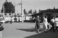 Image of sheet 19890650 photo 26: Eine Bauern-Familie posiert für mich auf dem Gehsteig, nachdem
 sie mich mit Gemüse beschenkt haben. Auf dem Rückweg nach Sofia.
 Ein Orthodoxer auf dem Kirchenplatz in Sofia. Die Moschee in
 Sofia. Ein Mann spritzt die Pflanzen. Zwei alte Männer betrachten
 die Preise für den Kohl. Maler bei der Arbeit. Mercedes Benz.
 Vater und Sohn auf einer Parkbank. Maja Wicki und Djanko und
 Olivia und Maja auf dem Vitussi. Mädchen benützt Grossmutter als
 Gummitwist Halterin. Im Hotel (Nr. 22)steht Maja nach einem
 schlechten Traum wie ein Gespenst da. Bus Nr. 83 Endstation. Die
 Frauen und Männer gehen zur Arbeit in die Fabriken am Stadtrand
 von Sofia. Ziege spaziert. Die zwei Roma bei ihrer Arbeit als Kesselflicker in Razgrad. Bulgaria Bulgarien 1989