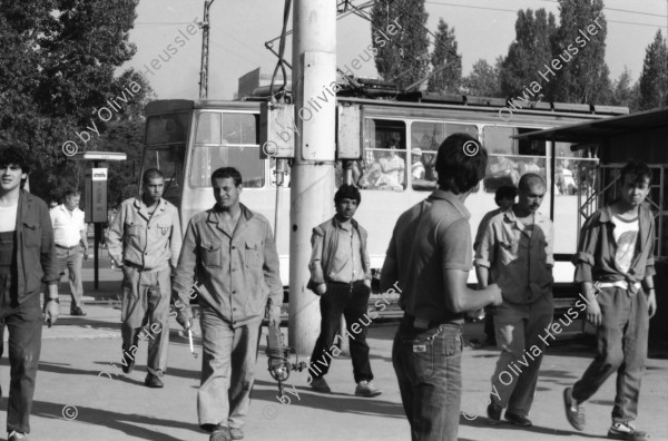 Image of sheet 19890650 photo 32: Eine Bauern-Familie posiert für mich auf dem Gehsteig, nachdem
 sie mich mit Gemüse beschenkt haben. Auf dem Rückweg nach Sofia.
 Ein Orthodoxer auf dem Kirchenplatz in Sofia. Die Moschee in
 Sofia. Ein Mann spritzt die Pflanzen. Zwei alte Männer betrachten
 die Preise für den Kohl. Maler bei der Arbeit. Mercedes Benz.
 Vater und Sohn auf einer Parkbank. Maja Wicki und Djanko und
 Olivia und Maja auf dem Vitussi. Mädchen benützt Grossmutter als
 Gummitwist Halterin. Im Hotel (Nr. 22)steht Maja nach einem
 schlechten Traum wie ein Gespenst da. Bus Nr. 83 Endstation. Die
 Frauen und Männer gehen zur Arbeit in die Fabriken am Stadtrand
 von Sofia. Ziege spaziert. Die zwei Roma bei ihrer Arbeit als Kesselflicker in Razgrad. Bulgaria Bulgarien 1989