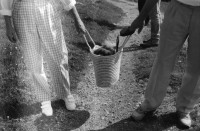 Image of sheet 19890660 photo 18: Zwei Türkinnen mit Kopftuch Musliminnen pflücken Früchte an der Neugasse. Pflastersteinedepot Cathy O'Hare, Badeanstalt Badi Letten, Nonnen, Bauer, Olivia, Konzert, Black Citron Limmatstrasse. Zürich 1989