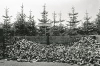 Image of sheet 19890660 photo 3: Pflastersteine depot Zürich 1989 √