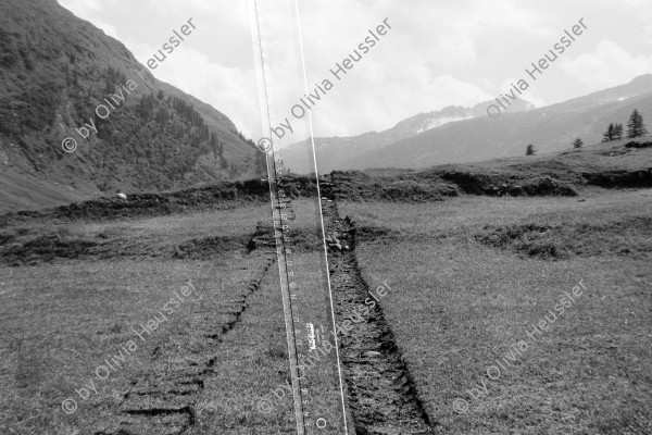 Image of sheet 19890690 photo 13: Val Madris. Kanton Graubünden. Grass narben Schweiz Switzerland nature Meterstab Massstab in Gras Landschaft Berge
1989 art print with bar in nature scale sward
swiss Switzerland mountain valley
Out of: From time to time / VonZeitzuZeit
Exhibition