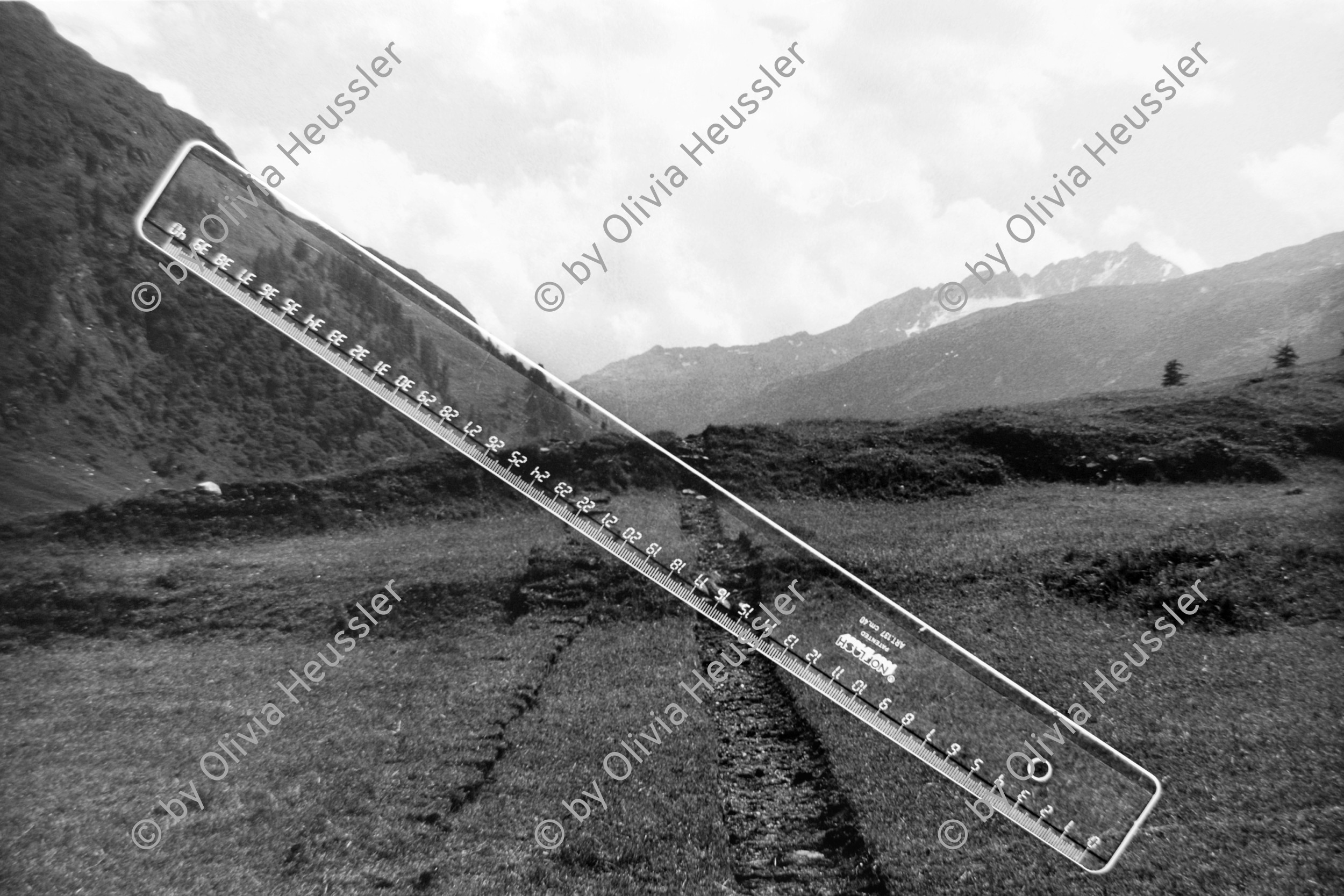 Image of sheet 19890690 photo 13: 1989 art print with bar in nature scale sward
swiss Switzerland mountain valley 
Out of: From time to time  / VonZeitzuZeit
Exhibition