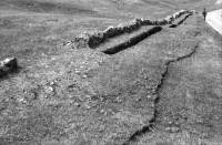 Image of sheet 19890690 photo 15: n