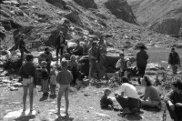 Image of sheet 19890690 photo 6: s