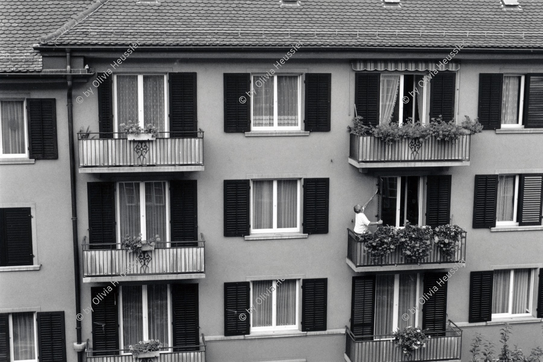 Image of sheet 19890750 photo 20: Eine Rentnerin reinigt regelmässig die Fensterläden. 1989 √ Zürich Schweiz retired person cleaning house