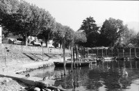Image of sheet 19890830 photo 12: Rentnerehepaar geniesst die Sonne auf der Piazza in Ascona im Tessin Ticino Olivia marschiert am Lago Maggiore in Ascona. Tessin Fotografiert von Thomas Kern.
Tiefwasserstand. Ausstellung Goldenes Chalb Aarau von Thomas Kern mit Pit Wuhrer. Journalist der Wochenzeitung, er liest aus seinem Buch über Nordirland. Kanton Aargau 1989