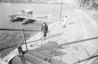 Image of sheet 19890910 photo 14: Am Rhein. Auf einem Fährschiff fotografiere ich Fatima Heussler. AKW Gösgen AG aus dem fahrenden Zug. Mit Dampfwolke. Hund auf Fähre. Basel 1989