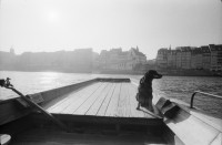 Image of sheet 19890910 photo 17: Hund sitzt während der Ueberfahrt auf Rheinfähre. Basel 1989.
