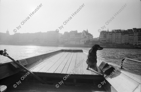 Image of sheet 19890910 photo 17: Hund sitzt während der Ueberfahrt auf Rheinfähre. Basel 1989.