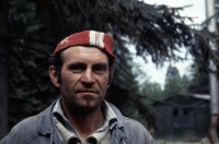 Image of sheet 19893006 photo 20: Ju