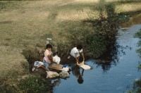 Image of sheet 19893011 photo 16: Fiestas patronales de San Juan de Chamula, Chiapas, 1989.