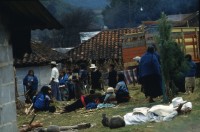 Image of sheet 19893011 photo 2: Fiestas patronales de San Juan de Chamula, Chiapas, 1989.