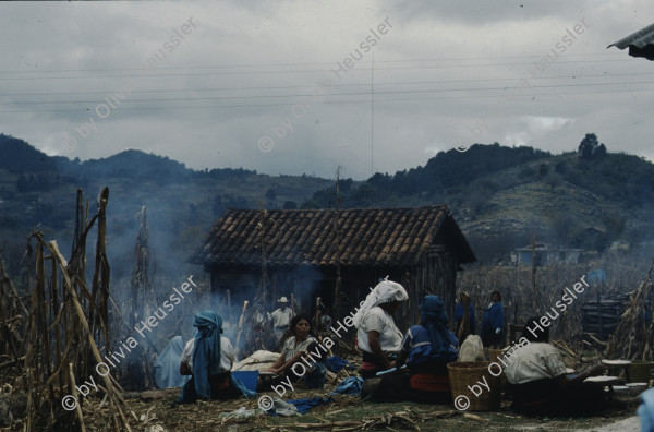 Image of sheet 19893011 photo 3: Fiestas patronales de San Juan de Chamula, Chiapas, 1989.