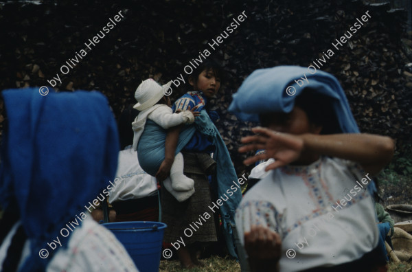 Image of sheet 19893011 photo 6: Fiestas patronales de San Juan de Chamula, Chiapas, 1989.