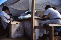 Image of sheet 19893012 photo 12: Mexico, San Cristobal de las Casas, 1989.