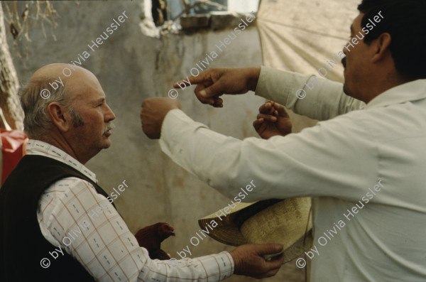 Image of sheet 19893012 photo 2: Mexico, San Cristobal de las Casas, 1989.