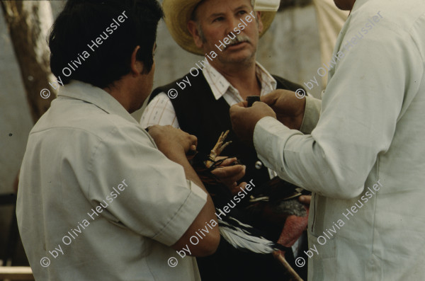 Image of sheet 19893012 photo 3: Mexico, San Cristobal de las Casas, 1989.