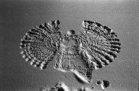 Image of sheet 19900010 photo 37: Z