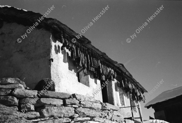 Image of sheet 19900010 photo 6: ZWürste hängen in grossen Massen auch Hirsch und Wild würste. Das Fleisch Bündnerfleisch wird an der Luft getrocknet und hängt draussen unter dem Dach.